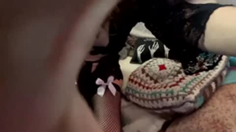 yanyanpixie online show from December 2025 04:03:01 PM