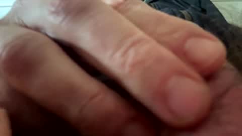 yappe75 online show from April 2026 11:16:01 AM