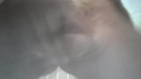 Snapshot of yaycarr9 chatting on June 2026 10:52:01 PM yaycarr9 online show from June 2026 10:52:01 PM