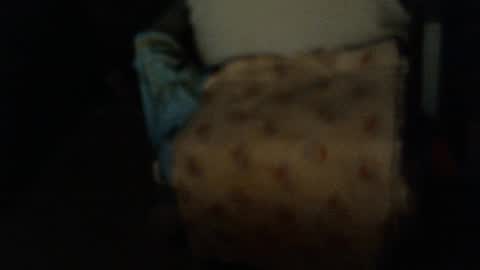 .     y e l l o w s n a k e s       . online show from January 2026 09:24:01 AM