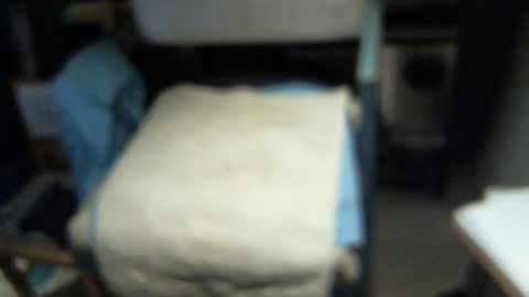 .     y e l l o w s n a k e s       . online show from February 2026 06:22:01 AM