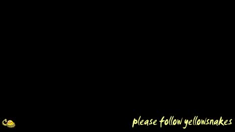 Snapshot of yellowsnakes chatting on April 2026 11:17:01 AM . y e l l o w s n a k e s . online show from April 2026 11:17:01 AM