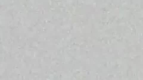 Snapshot of yellowsnakes chatting on April 2026 01:56:02 PM . y e l l o w s n a k e s . online show from April 2026 01:56:02 PM