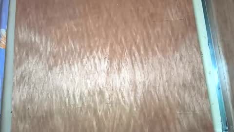 yhang_slut online show from November 2025 07:34:02 AM