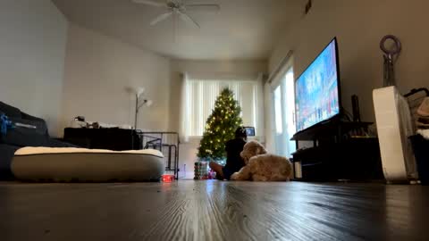 Snapshot of ynaong chatting on December 2024 11:40:02 PM Palmela Handerson online show from December 2024 11:40:02 PM