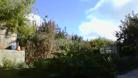 Yoann online show from October 2025 01:42:02 PM