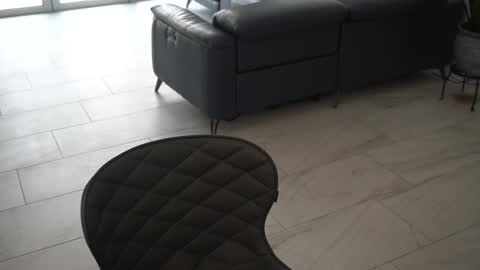 Siebel. online show from March 2025 07:11:02 PM