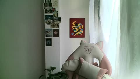 your sttar online show from January 2025 11:54:02 AM