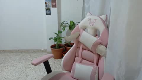 your sttar online show from January 2025 02:11:01 AM