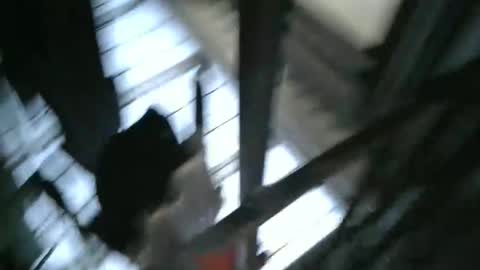 Snapshot of yourpersonalgeniusl chatting on December 2024 10:47:02 PM yourpersonalgeniusl online show from December 2024 10:47:02 PM