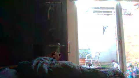 Snapshot of yourpersonalgeniusl chatting on November 2025 12:05:02 PM yourpersonalgeniusl online show from November 2025 12:05:02 PM