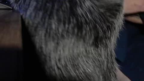 Snapshot of yumguy69 chatting on September 2025 12:40:01 PM YumGuy69 online show from September 2025 12:40:01 PM