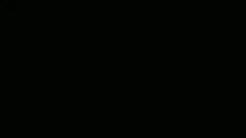 Payton kelly online show from December 2024 07:00:02 PM