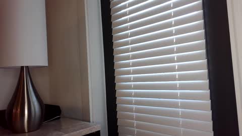 Edii online show from January 2025 04:46:01 PM