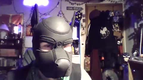 Snapshot of zanepup89 chatting on July 2026 05:26:02 AM ZanePup online show from July 2026 05:26:02 AM