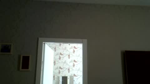 Snapshot of zarinaswift chatting on June 2026 09:45:01 AM Zarina Swift online show from June 2026 09:45:01 AM