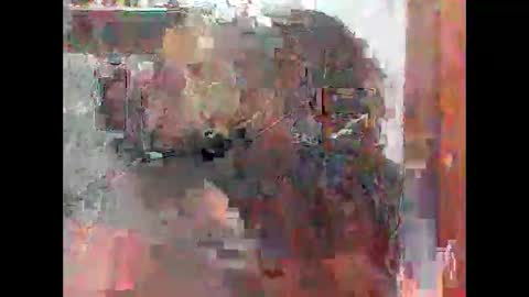 Zatth online show from February 2026 07:49:01 AM