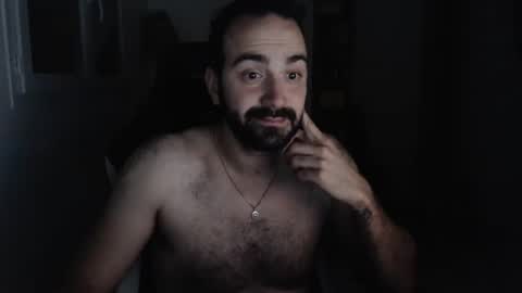 Grizzly Bear online show from March 2025 06:34:01 PM