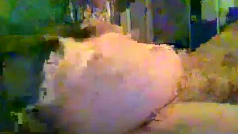 Snapshot of zero0zero123 chatting on September 2025 09:53:02 PM zero0zero123 online show from September 2025 09:53:02 PM