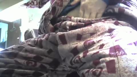 zhengxuansheng888 online show from March 2025 02:29:01 AM