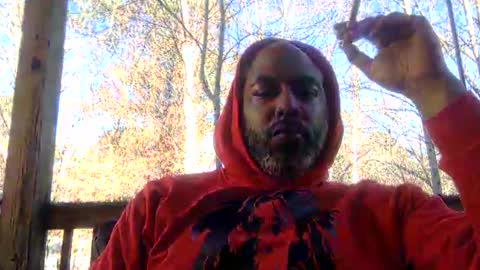 zionlion22 online show from December 2024 07:11:02 PM