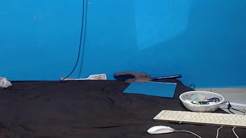 Zoe online show from April 2026 06:16:02 PM