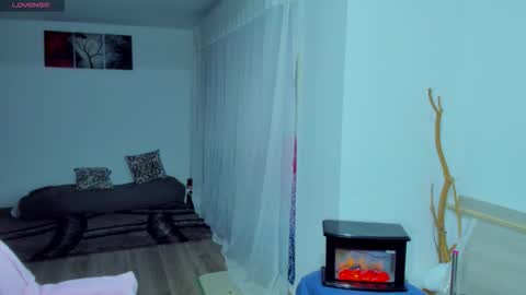 new count    online show from November 2025 10:43:02 PM