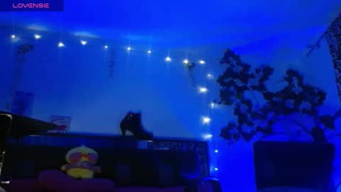 zoemi online show from January 2025 03:34:02 AM