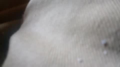 bigdickdaddy online show from June 2026 05:08:01 PM