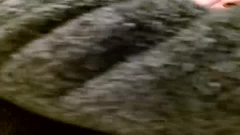 zolexthomas online show from January 2025 05:35:02 PM