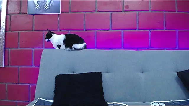 kiara eyes12 online show from February 2025 02:14:01 AM