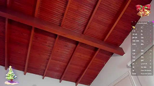 bhritany brow online show from December 2024 01:30:02 PM