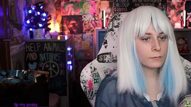 Snapshot of ShiroiFubuki chatting on January 2025 02:36:01 PM ShiroiFubuki online show from January 2025 02:36:01 PM