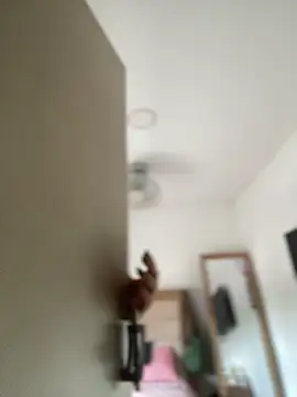 Lia flowers online show from March 2025 05:25:01 PM