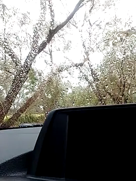 stiffandlubedxh online show from October 2025 09:04:01 PM