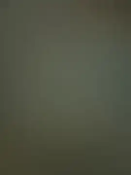 Sam Sara online show from February 2026 06:59:01 PM