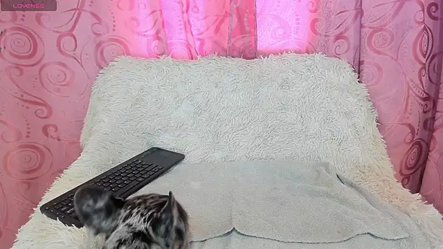 Snapshot of iisabella_gonzalez chatting on September 2025 08:08:01 PM iisabella gonzalez online show from September 2025 08:08:01 PM