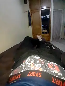 rafik2 online show from November 2025 01:01:02 PM