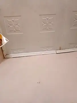 Snapshot of pretty-donna chatting on October 2025 04:57:02 AM pretty-donna online show from October 2025 04:57:02 AM