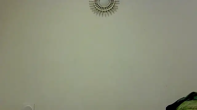 Snapshot of feline27 chatting on October 2025 08:49:02 PM feline27 online show from October 2025 08:49:02 PM