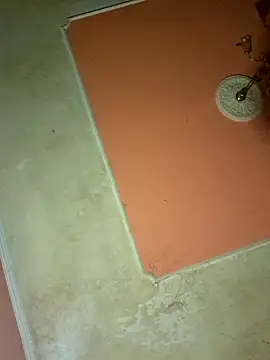 ducicsajsziii online show from March 2025 10:38:02 PM