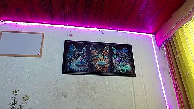 Niky 777 online show from February 2025 04:25:01 PM