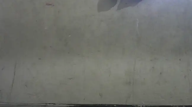 shekira99 online show from January 2025 02:43:02 AM