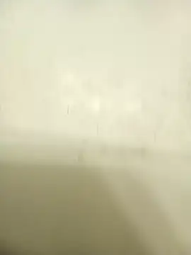 Masternasty online show from November 2025 06:46:02 AM