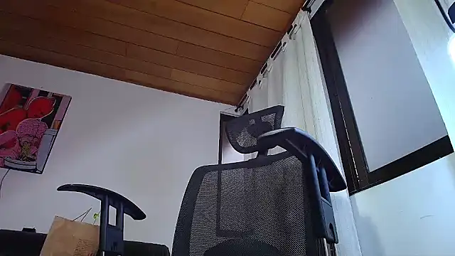 ADONIS ART01 online show from December 2024 10:34:01 PM