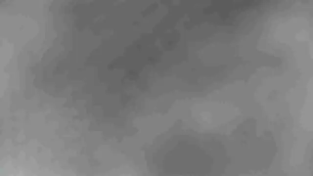 sclax38 online show from January 2025 01:19:01 PM