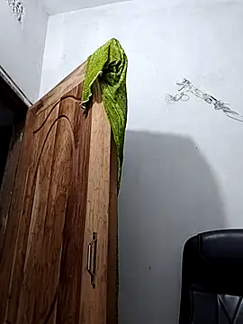 Snapshot of Ritusri_Dotta chatting on February 2025 10:20:01 PM Ritusri Dotta online show from February 2025 10:20:01 PM