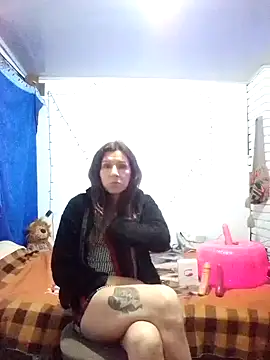 Cameron puppy online show from March 2025 07:04:02 AM