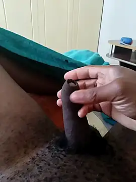 Sunbeam11 online show from April 2026 10:08:01 AM