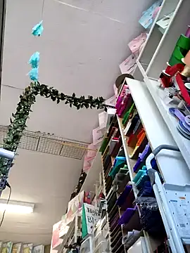 Mia Novikov online show from October 2025 08:07:02 PM